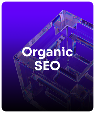 Organic SEO